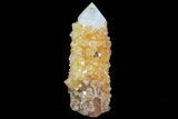 Sunshine Cactus Quartz Crystal - South Africa #80182-2